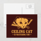 Plafondkat kijkt naar je briefkaart (Voorkant / Achterkant)