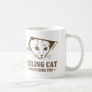 Plafondkat kijkt naar je koffiemok