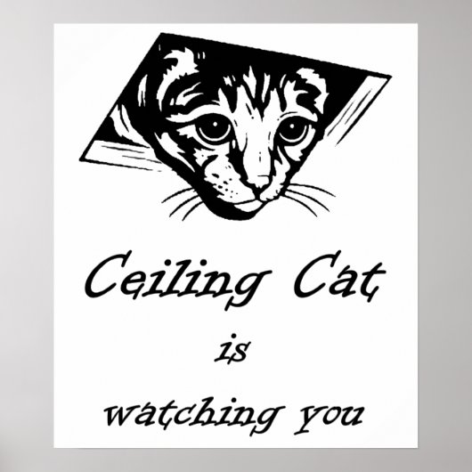 Plafondkat kijkt naar je poster (Voorkant)