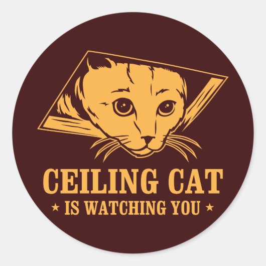 Plafondkat kijkt naar je ronde sticker (Voorkant)