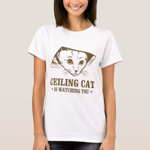 Plafondkat kijkt naar je t-shirt