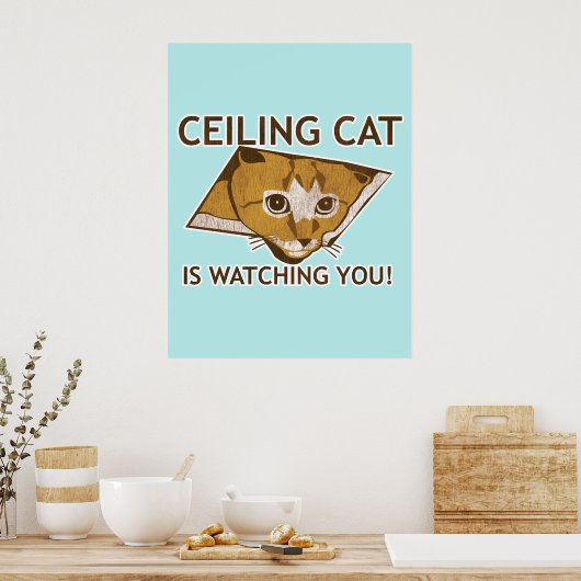 Plafondkatje Poster (Keuken)