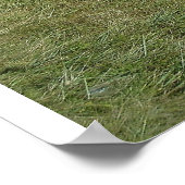 plage en été poster (Hoek)