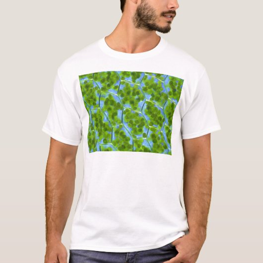 Plagiomnium Affine Plant Cellen met chloroplasten T-shirt (Voorkant)
