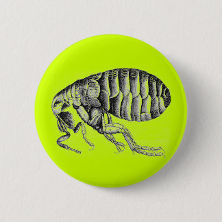 Plague flea ronde button 5,7 cm