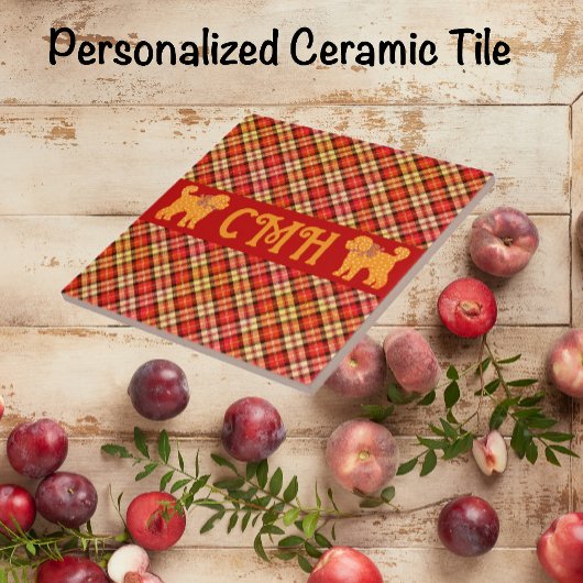 Plaid Doodle Gouden Gele Hond Gepersonaliseerd Tegeltje