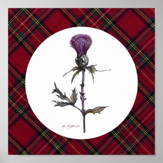 plaid en distel poster (Voorkant)