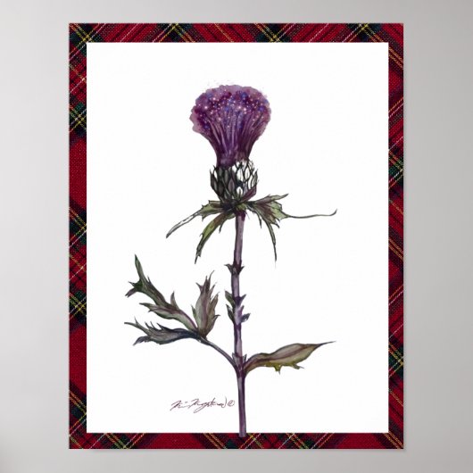 plaid en distel poster (Voorkant)