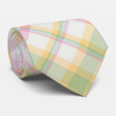Plaid Mannen Stropdas - Multi Spring Kleuren {S2D1 (Opgerold)