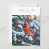 Plaid Rode Kardinaal Vrolijk Kerstvogel Foto Holi Feestdagenkaart (Voorkant)