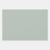 Plain Arsenic Ash Battleship Grijze tinten 3 tinte Inpakpapier Vel (Voorkant 2)