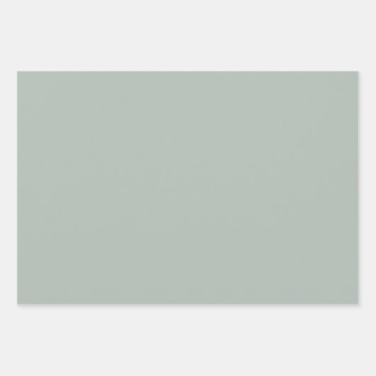 Plain Arsenic Ash Battleship Grijze tinten 3 tinte Inpakpapier Vel (Voorkant 2)
