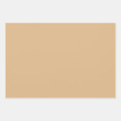 Plain Dark Bone Burlywood Tan Shades 3 Tones Inpakpapier Vel (Voorkant 3)