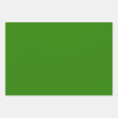 Plain Dartmouth La Salle Groene tinten 3 tinten Inpakpapier Vel (Voorkant 3)