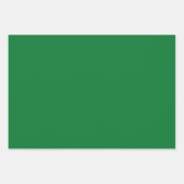 Plain Dartmouth La Salle Groene tinten 3 tinten Inpakpapier Vel (Voorkant 2)