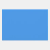 Plain Iceberg Frost Frans Blauw tinten 3 tinten Inpakpapier Vel (Voorkant 3)