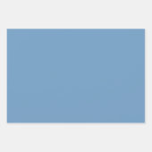 Plain Iceberg Frost Frans Blauw tinten 3 tinten Inpakpapier Vel (Voorkant 2)