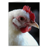 Plain Jane (Voorkant)