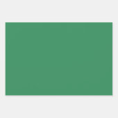 Plain Lawn Medium Zee Groene tinten 3 tinten Inpakpapier Vel (Voorkant 3)