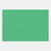 Plain Lawn Medium Zee Groene tinten 3 tinten Inpakpapier Vel (Voorkant 2)