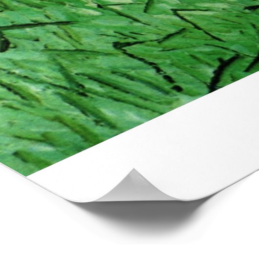 Plain Near Auvers van Vincent van Gogh Poster (Hoek)