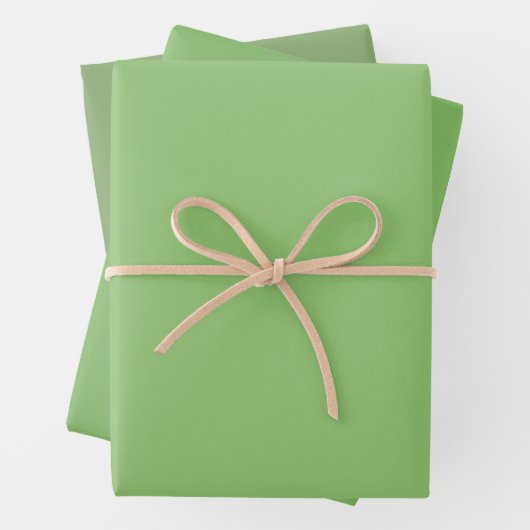 Plain Pistachio Asparagus Groene tinten 3 tinten Inpakpapier Vel (In situ)