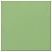 Plain Pistachio Stof (Close Up)