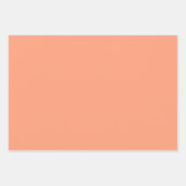 Plain Salmon Medley Peach Kleur Tone 3 Inpakpapier Vel (Voorkant)