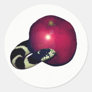 Plain Serpent Apple Jesse Tree Sticker