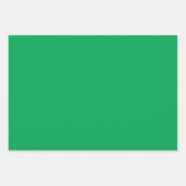 Plain Shamrock Pigment Sap Green Shades 3 Tones Inpakpapier Vel (Voorkant 2)