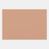 Plain Sienna Brass Burlywood Brown Shades 3 Tones Inpakpapier Vel (Voorkant 2)