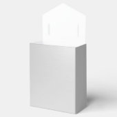 Plain Silver Bedankdoosjes (Geopend)