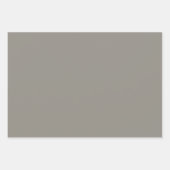 Plain Stone Taupe Timberwolf Grijze tinten 3 tinte Inpakpapier Vel (Voorkant)