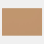 Plain Taupe Herten Bruin Tan Shades 3 Tones Inpakpapier Vel (Voorkant 2)
