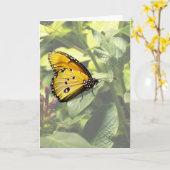 Plain Tiger Butterfly-kaart Kaart (Gele Bloem)