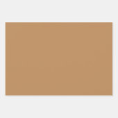 Plain Toast Camel Canvas Bruine tinten 3 tinten Inpakpapier Vel (Voorkant 3)