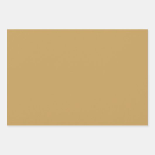 Plain Toast Camel Canvas Bruine tinten 3 tinten Inpakpapier Vel (Voorkant 2)