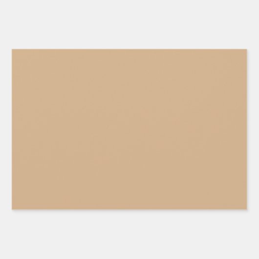 Plain Toast Camel Canvas Bruine tinten 3 tinten Inpakpapier Vel (Voorkant)