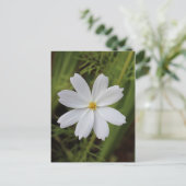 Plain White Beauty Briefkaart (Staand voorkant)