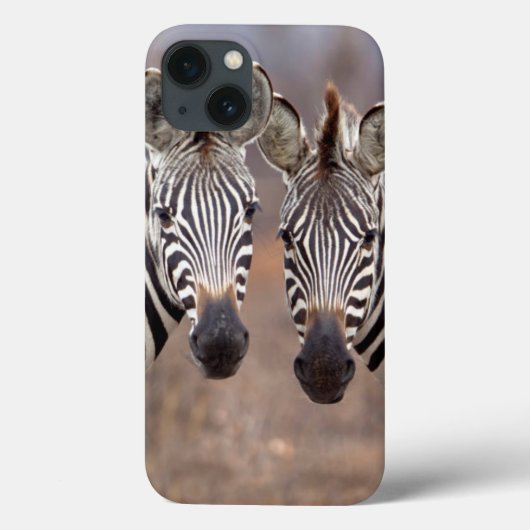 Plain Zebras, Nationaal Park Kruger Case-Mate iPhone Case (Achterkant)