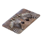 Plain Zebras, Nationaal Park Kruger Magneet (Linkerzijde)