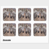 Plain Zebras, Nationaal Park Kruger Vierkante Sticker (Vel)