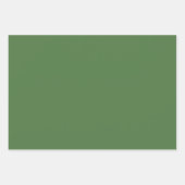 Plain Zee Apple Fern Green Shades 3 Tones Inpakpapier Vel (Voorkant 3)