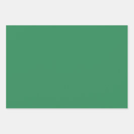 Plain Zee Apple Fern Green Shades 3 Tones Inpakpapier Vel