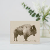 Plains Bison Briefkaart (Staand voorkant)