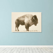 Plains Bison Canvas Afdruk (Insitu (Houten vloer))