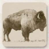 Plains Bison Drankjes Onderzetter (Voorkant)
