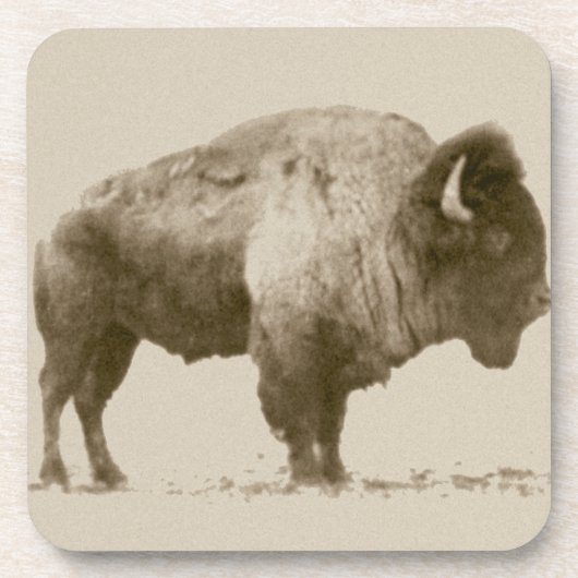 Plains Bison Drankjes Onderzetter (Voorkant)