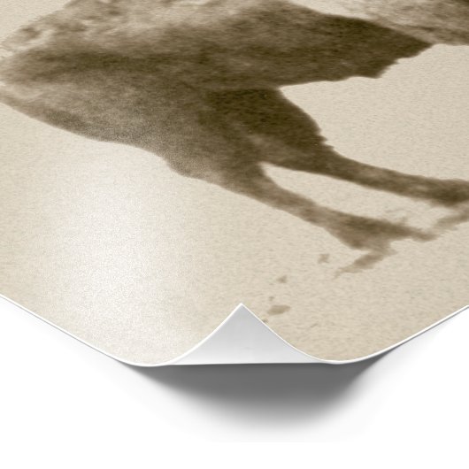 Plains Bison Foto Afdruk (Hoek)