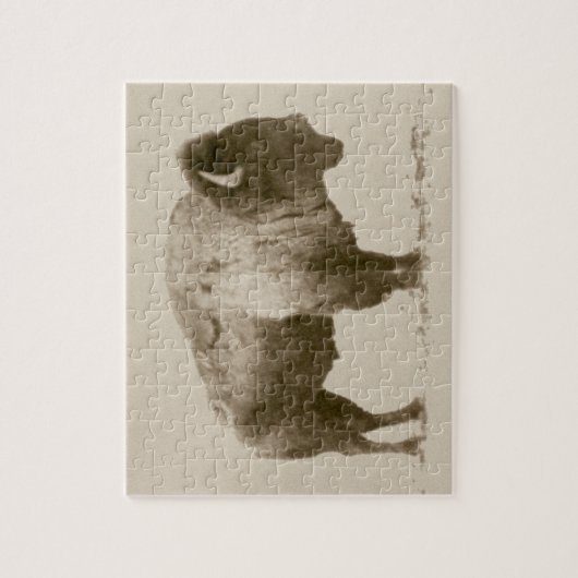 Plains Bison Legpuzzel (Verticaal)